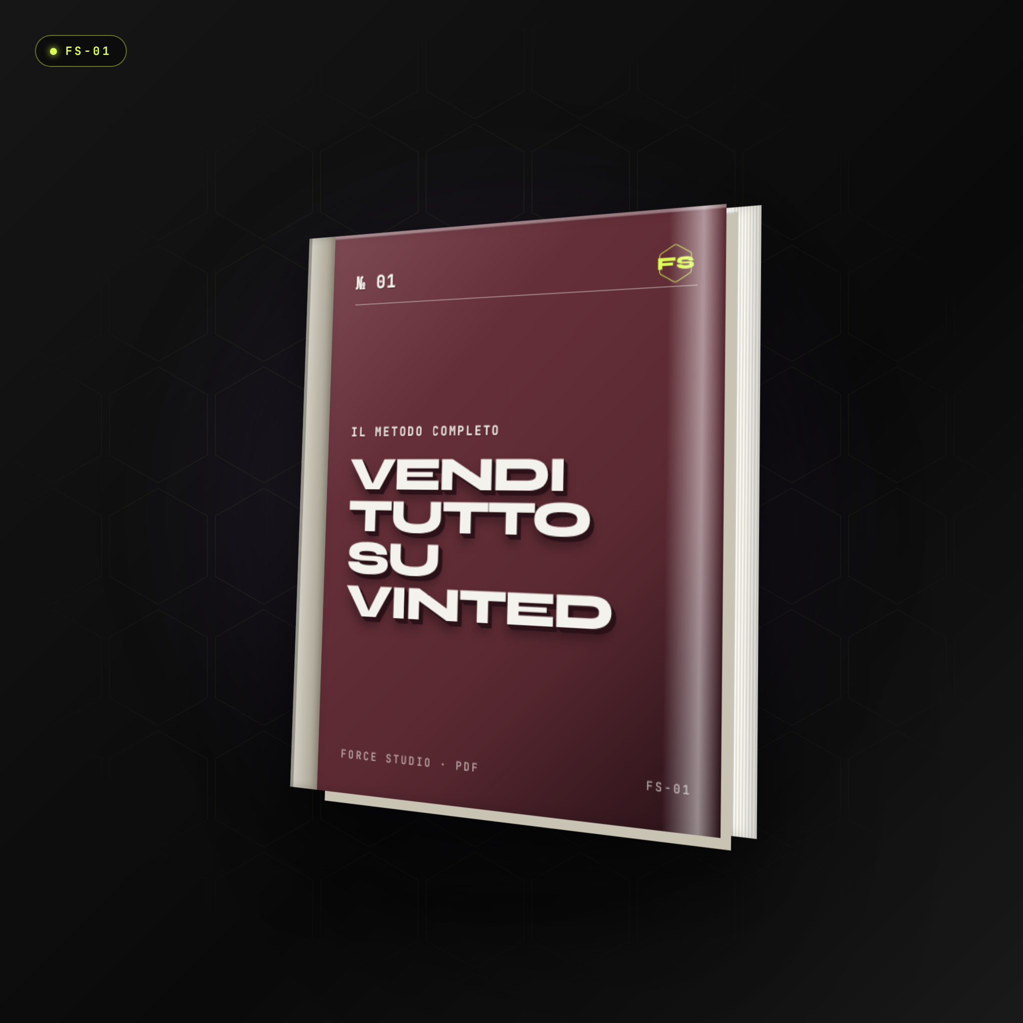 Il Sistema Vinted